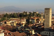 69 Dall'alto della Torre Civica (Campanone) vista verso la Rocca 